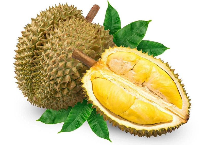 Trái sầu riêng