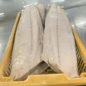 Cá oil fish đông lạnh